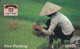 VIETNAM - Rice Planting, Fake - Viêt-Nam