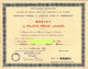 1957 AVIATION  RARE BREVET DE PILOTE "privé"  D AVION REPUBLIQUE FRANCAISE LIGNIERES Jacques VOIR SCANS - Diplomas Y Calificaciones Escolares