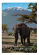 Kenya -- 1991-- Elephant Et Kilimandjaro ......beau Timbre Papillon ....cachet .........à Saisir - Kenya