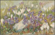 Anna Haller - Fleurs Alpines, Soldanelle Et Crocus, C.1910s - Vouga CPA - Haller, A.