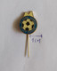 FC AGRO TURNOV Czech Republic  Football Soccer Club Fussball Calcio Futbol Futebol PINS BADGES A4/3 - Football