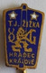 TJ ŽIŽKA HRADEC KRÁLOVÉ Czech Republic football Soccer Club Fussball Calcio Futbol Futebol PINS BADGES A4/4 - Football