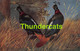 CPA ILLUSTRATEUR RAPHAEL TUCK ARTIST SIGNED SCHONIAN PEACOCK PHEASANT - Tuck, Raphael