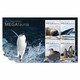 2021 Ross Dependency - Megafauna ,Antartica, Fauna ,Animal, Whale , Seal, Skua Bird, Penguin Presentation Pack MNH (**) - Ungebraucht