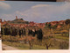 Cartolina Città Di S.Miniato Provincia Di Pisa 1974 Panorama - Pisa