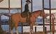 Oklahoma City OK, Cowboy Hall Of Fame Western Heritage Center Route 66, C1960s Vintage Postcard - Route ''66'