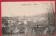 France . Lot  Deux  Cartes - Postales Liomer - Panorama Et  Rue Du Pont - Neuf ( Coté Sud ) - Hornoy Le Bourg