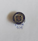 Rangers FC Glasgow Scotland  Football Soccer Club Fussball Calcio Futbol Futebol PINS BADGES A4/4 - Football