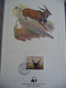 (WWF) MALI - 1986  * WWF * WESTERN GIANT ELAND *  Official Proof Edition Set - Collezioni & Lotti