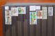 Delcampe - INDIA, 3 STOCK BOOKS FULL OF STAMPS - Verzamelingen & Reeksen