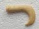 Delcampe - ANCIEN POMMEAU En OS, DE CANNE OMBRELLE PARAPLUIE EPOQUE FIN 19ème SIECLE  Long 4,5 Cm Env - Ombrelli