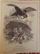 Punch, Or The London Charivari Vol. CXXV- NOVEMBER 25, 1903 - Magazine 18 Pages, Cartoons LHASSA LHASA LAMA THIBET TIBET - Altri & Non Classificati