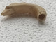 ANCIEN POMMEAU En OS TETE DE CHIEN Sculpté, DE CANNE OMBRELLE PARAPLUIE EPOQUE FIN 19ème SIECLE  Long 4,4 Cm Env - Regenschirme