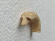 Delcampe - ANCIEN POMMEAU En OS TETE DE CHIEN Sculpté, DE CANNE OMBRELLE PARAPLUIE EPOQUE FIN 19ème SIECLE  Long 4,4 Cm Env - Paraplu's & Parasols