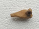 ANCIEN POMMEAU En OS TETE DE CHIEN Sculpté, DE CANNE OMBRELLE PARAPLUIE EPOQUE FIN 19ème SIECLE  Long 3,4 Cm Env - Regenschirme