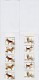 4 Carnets 2001 De 5 Timbres YT C 277 / C 280 Chiens De Race Berger Beagle Terrier/ Booklet Michel MH 94/97 (295/298) - Used Stamps