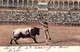 4 DIFF. POSTCARDS BULL FIGHTING - STIERKAMPF / S1 - Corrida