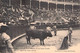 4 DIFF. POSTCARDS BULL FIGHTING - STIERKAMPF / S1 - Corrida