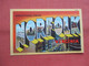 Greetings  Norfolk   Virginia          Ref 5561 - Norfolk