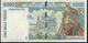 W.A.S. P913Sg 5000 FRANCS (20)02 2002  Signature 31  AVF NO P.h. - West African States