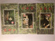 China Commemorative Sheet, Giant Panda, Fake Stamp，10v - Lots & Serien