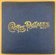 ALBUM ANCIEN POUR CARTES POSTALES ANCIENNES - DECOR  ART NOUVEAU, BLEU - Unclassified