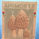 Errors Romania 1958 Mi 1727 Mushrooms Printed With Watermark  Horizontal Line  Unused - Variedades Y Curiosidades