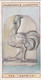 Curious Signs 1925 -  20 The Ostrich - Churchman Cigarette Card - Original - Churchman