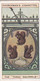 Curious Signs 1925 -  24 The Three Squirrels  - Churchman Cigarette Card - Original - Churchman
