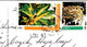(2 H 15) St Vincent & Grenadines Islands Postcard Posted To Australia - Frienship Bay - Saint Vincent En De Grenadines