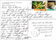 (2 H 15) St Vincent & Grenadines Islands Postcard Posted To Australia - Frienship Bay - Saint Vincent E Grenadine