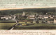 Zofingen1907 Pferd  Heuen - Zofingen