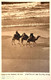 JUDAICA PALESTINE / ISRAEL RARE POSTCARD CAMAELS  AT THE SEASHORE TEL AVIV #3 HEFNER ַ& BERGER CRACOW 1935' - Palestine