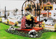► CPSM  La Chapelle Basse Place Fleurie  Floral  Citroen 2 CV - La Chapelle Basse-Mer