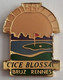 Cice Blossac Bruz Rennes France Golf Club PINS BADGES A5/3 - Golf