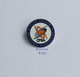 Clay Pigeon Shooting Association (CPSA) England PINS A5/4 - Archery