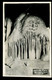 Cheddar Organ Pipe Gough's Cave Coin Plié Folded Corner - Cheddar