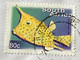 SOUTH AFRICA,2009,AIRMAIL USED COVER TO INDIA,3 STAMPS,STAMP ON STAMP,FISH,CHITAH ANIMAL. - Brieven En Documenten