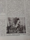 Delcampe - ANTIGUA REVISTA CAMB16 CAMBIO 16 ? Nº 240 JULIO 1976 PRESIDENTE POR SORPRESA ADOLFO SUAREZ ARIAS TRANSICIÓN ESPAÑOLA.... - [1] Jusqu' à 1980