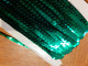 GALON RUBAN Paillettes Sequins Vert Intense COUTURE MERCERIE - Dentelles Et Tissus