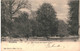 CPA - Carte Postale -Belgique- Bruxelles Pelouse Des Anglais Au Bois Début 1900 VM47747 - Forêts, Parcs, Jardins