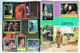 Delcampe - Album Complet De Stickers Tortues Ninja Le Film 1992 Ninja Turtles Figurine Euroflash - Autocollants