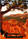 (2 H 37) USA - Bryce Canyon (Utah) - Bryce Canyon