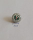 VJWO JAGD UND. WURFTAUBENSCHÜTZEN Austria Archery Shooting Clay Pigeons    PIN BADGE A5/9 - Tiro Con L'Arco