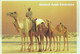 U.A.E Postkaart Camels In Desert Gebruikt (5944) - Verenigde Arabische Emiraten