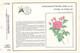 CEF 1989 - FDC 1er Jour - Promotion De La Philatélie - Lot De Trois CEF N°410 411 Et 412 - Pierre Joseph Redoute - 1981-1990