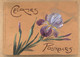 ALBUM ANCIEN POUR CARTES POSTALES ANCIENNES - DECOR IRIS - Non-classés