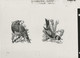 Oiseaux D'André BUZIN - Planche D'impression ORIGINALE COB 2189/90 , 2223 Et 2240 - Calque 40x30cm - Genèse - Essai - 1985-.. Uccelli (Buzin)
