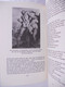 Delcampe - PHALOS De Spirituele Identiteit Van De Man - Door Eugène Monick Religie Archetypen Psychoanalyse Homo Sexualiteit Eros - Geheimleer