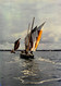 CPM - Les "Sinagots" Pirates Du Golfe Du Morbihan - Segelboote
